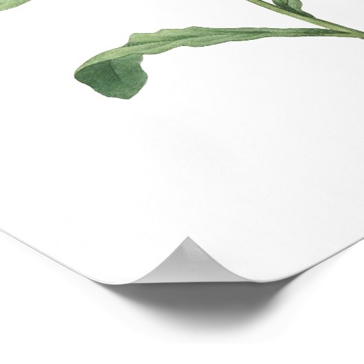 PLUS HAUTE QUALITÉ Impression botanique de Convolv (Coin)