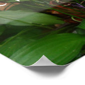 Plus la sagesse plus joyeuse dit affiche (Coin)