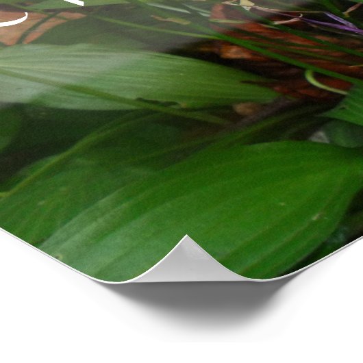 Plus la sagesse plus joyeuse dit affiche (Coin)