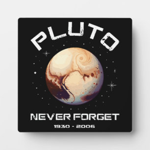 Pluto Nooit Vergeten Fotoplaat