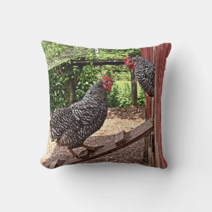 Plymouth Rock Hens Kussen
