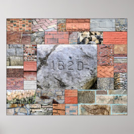 Plymouth Rocks en Bricks poster