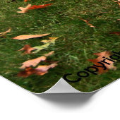 Plymouth Sport Fury Poster (Hoek)