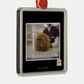 Plz remoov onze hand metalen ornament (Rechts)