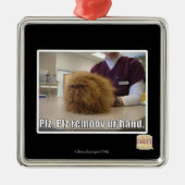 Plz remoov onze hand metalen ornament (Voorkant)