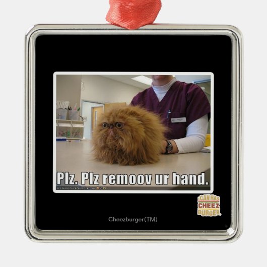 Plz remoov onze hand metalen ornament (Voorkant)