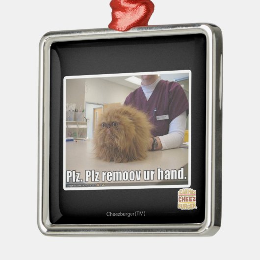 Plz remoov onze hand metalen ornament (Links)