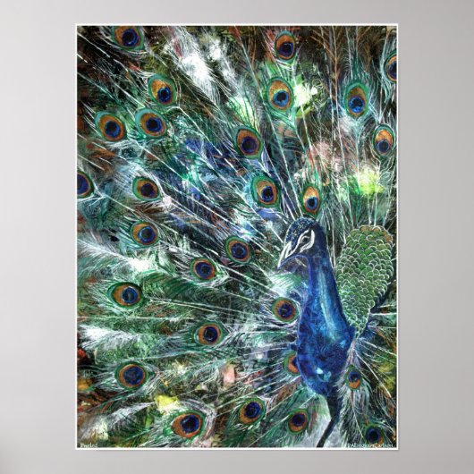 PMACarlson Jeweled Poster (Voorkant)