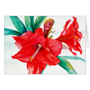 PMACarlson Red Amarylis Card