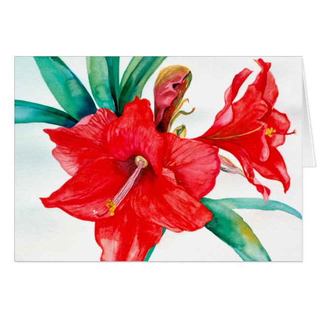 PMACarlson Red Amarylis Card (Voorkant Horizontaal)