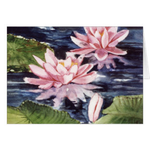 PMACarlson Waterlilies