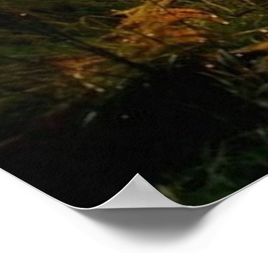 Pneus dans les bois Poster Artwork Mural (Coin)