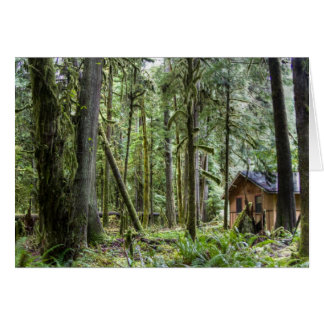 PNW Cabine