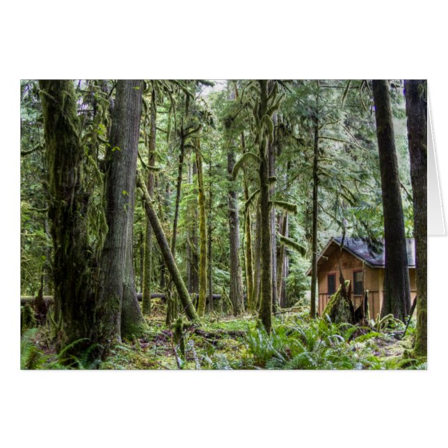 PNW Cabine (Voorkant Horizontaal)