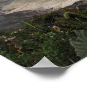 Poás Volcano Crater Poster (Hoek)