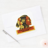 Pocatello Idaho Vierkante Sticker (Envelop)