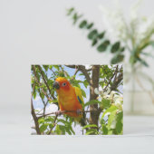 Poches ici Carte Postale "Olivia" (Debout devant)