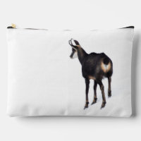 Chèvre montagneuse minimaliste chamois alpin sur n