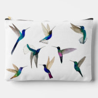 Colibri tropical
