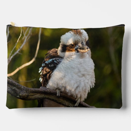 Pochette À Accessoires Fluffed up riant kookaburra (Recto)