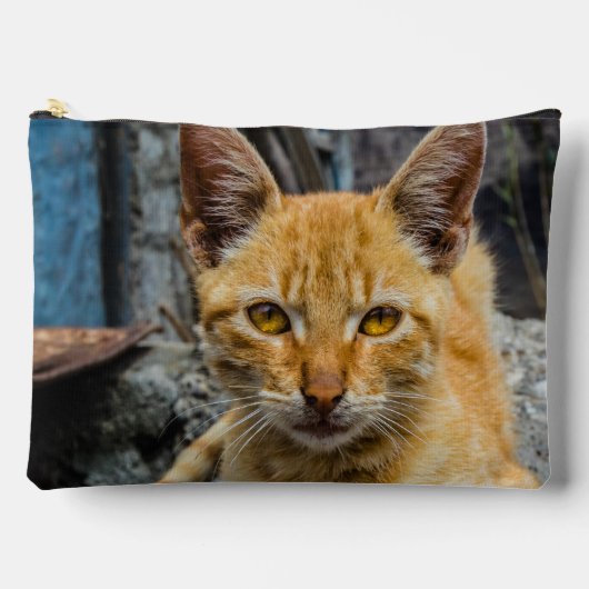 Pochette À Accessoires Golden Eyes (Recto)