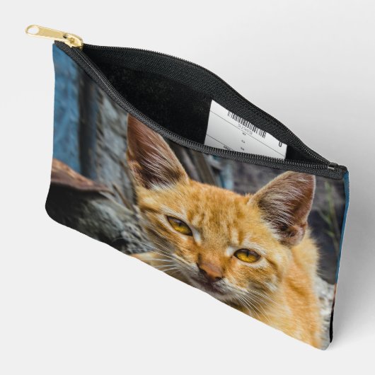 Pochette À Accessoires Golden Eyes (Ouvrir)