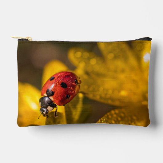 Pochette À Accessoires Peinture (Recto)