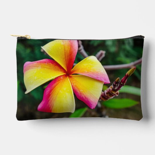 Pochette À Accessoires Plumeria rubra (Recto)