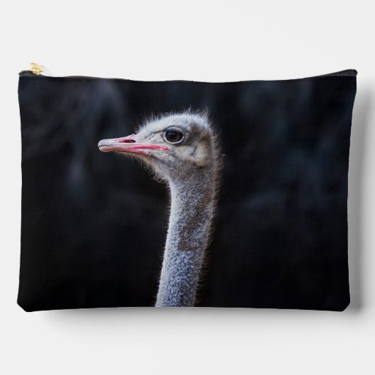 Pochette À Accessoires portrait d'autruche (Recto)