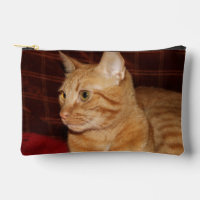 Profil de visage de chat Tabou orange