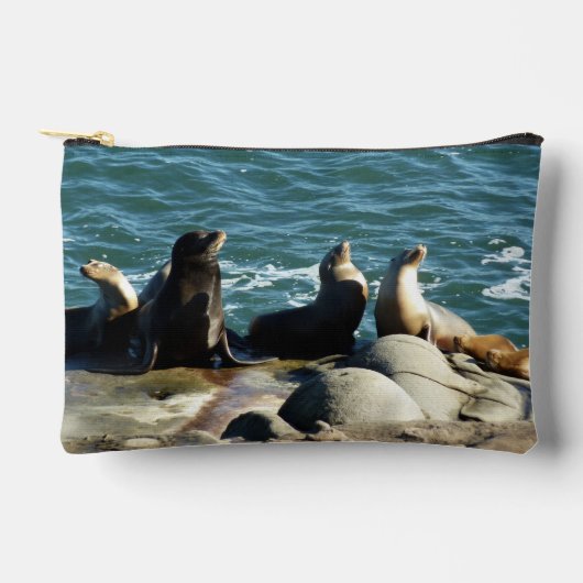Pochette À Accessoires San Diego Sea Lions (Recto)
