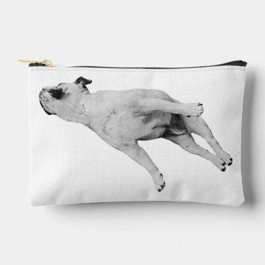 Pochette À Accessoires Tinsel-Quiet Organizer (Recto)