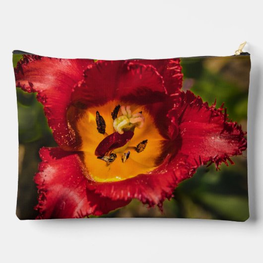 Pochette À Accessoires Tuliforme rouge (Verso)