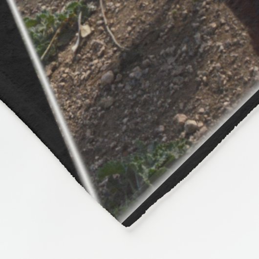 Pochette De Coq, Grosse Couverture En Toison. (Coin)