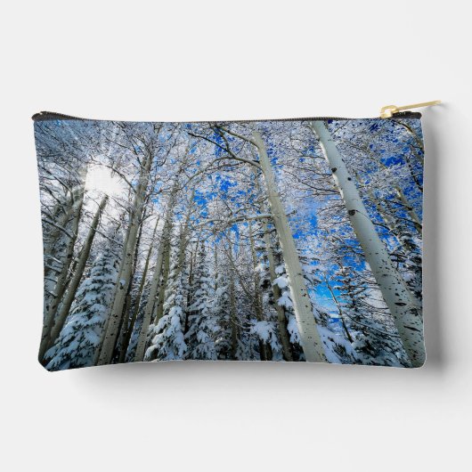 Pochette et sacs de Zipper Winterburst (Verso)