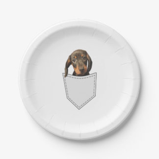 Pocket Dog Dachshund Papieren Bordje