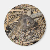 Pocket Gopher Magneet (Voorkant)