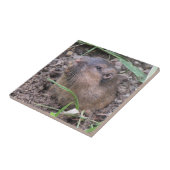 Pocket Gopher Tegeltje (Zijkant)