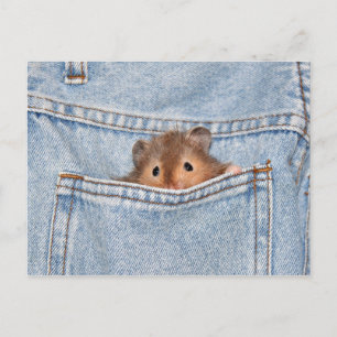 Pocket pet briefkaart
