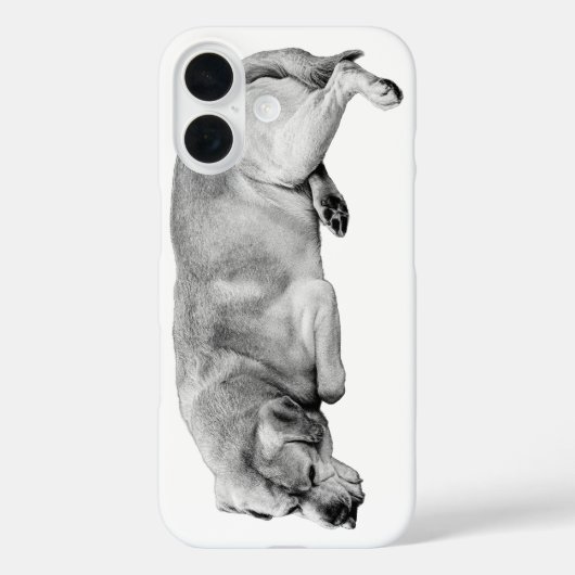 Pocket Poise Case-Mate iPhone Case (Achterkant)