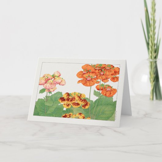 Pocketbook-plant van Tanigami Konan Kaart (Voorkant)