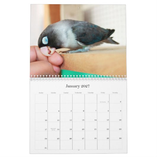 Pocky lovebird weet het niet kalender (Jan 2027)