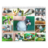 Pocky lovebird weet het niet kalender (Hoes)