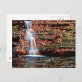 Pocono Cascade Waterfall Briefkaart (Voorkant / Achterkant)