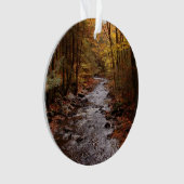 Pocono Stream in het najaar Ornament (voorkant)