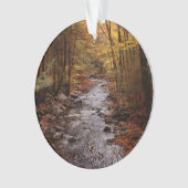 Pocono Stream in het najaar Ornament (voorkant)