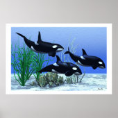 POD AFDRUKKEN POSTER (Voorkant)