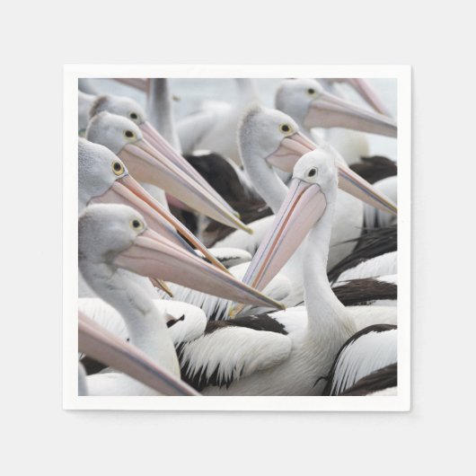 Pod Pelicans Servet (Voorkant)