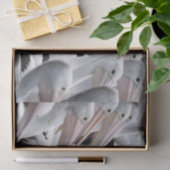 Pod Pelicans Tissuepapier (Geschenk)