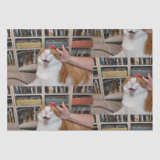 Podgy Scarlett Wrapping Paper Tissuepapier (Voorkant)